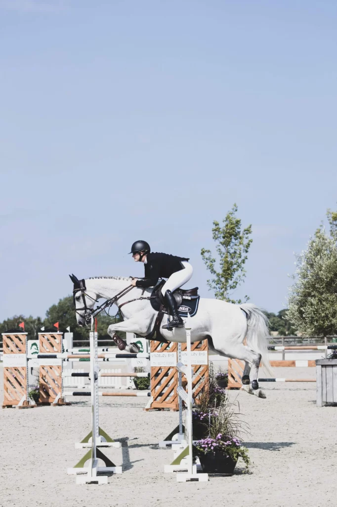 Stald König I König Equestrian I Furesø Rideskole I Ridefysioterapi I Heste wellness I Aquatræning