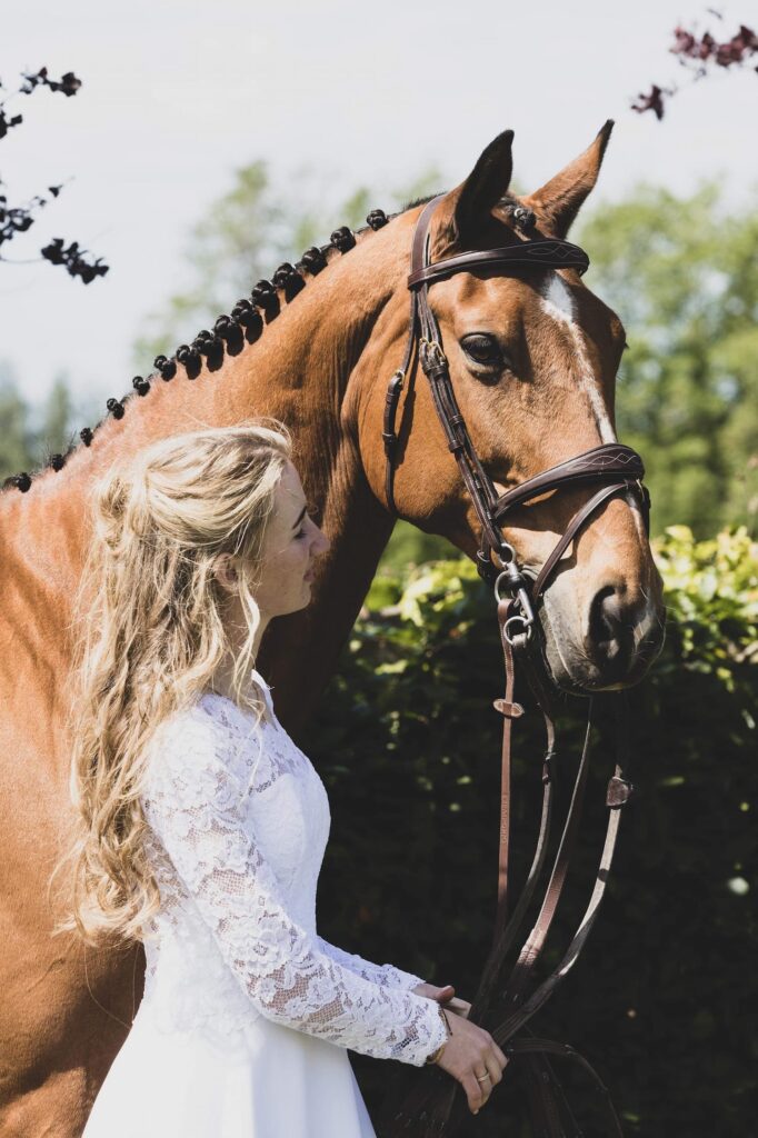 Stald König I König Equestrian I Furesø Rideskole I Ridefysioterapi I Heste wellness I Aquatræning