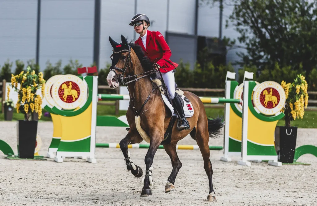 Stald König I Avl af sportsheste på internationalt topplan